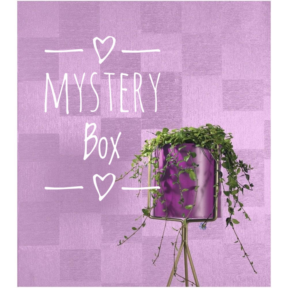 Mystery Box👒